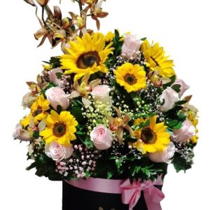 Arreglo con Orquideas Cymbidium, Girasoles y Rosas Rosadas