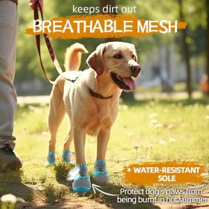 Botas para perros grandes, botas para perros medianos y protectores de patas para suelos de madera dura, botines para perros al aire libre para pavimento caliente, nieve de invierno, senderismo